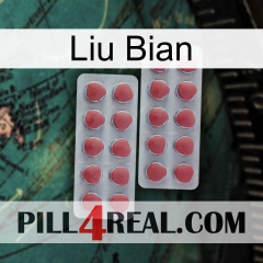 Liu Bian 19